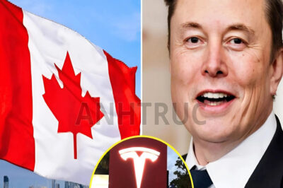 5 MINUTES AGO: Canada makes a bold decision to shut down Tesla and the U.S. auto industry – Elon Musk responds with a sh0cking 8-word message, revealing a hidden truth that leaves the world stunned