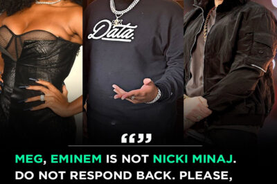 DJ Akademiks begs Megan Thee Stallion not to respond Eminem