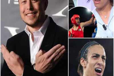 JUST IN: Elon Musk calls for a boycott of male athletes competing in women’s competitions and proposes massive penalties for cheating.