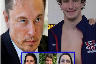 Recent Controversial Twitter Tweet: Elon Musk Claims That “NO BIOLOGICAL MEN ARE ALLOWED” in Women’s Sports