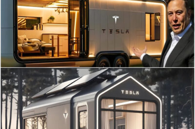 IT HAPPENED! Elon Musk’s $10,000 Tiny House FINALLY FOR SALE!