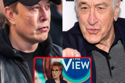 Robert De Niro defends Joy Behar and denounces Elon Musk on The Vi.ew: “He’s not worth your trust, that man is very…”