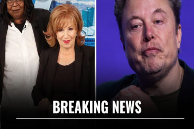 Elon Musk Launches Survey Campaign to Cancel TV Show ‘The View,’ Seeks Public Support to End the Controversial Talk Show Amid Growing Backlash