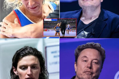 Elon Musk Declares: “No Biological Males Allowed in Women’s Sports” – The Tweet That Ignited a Firestorm