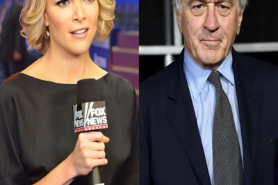 Megyn Kelly criticized Robert De Niro, calling him “stupid” in a heated exchange. Robert De Niro responded in sh0ck.