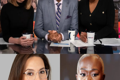 Fans laugh gleefully after M.S.N.B.C host Rebecca Kutler struggles to contact Joy Reid after brutally firing her