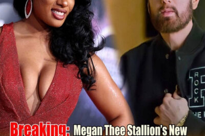 Megan Thee Stallion’s New Album ‘MEGAN’ Could Create Outcry Targeting Eminem – Fans Prepare for Impact