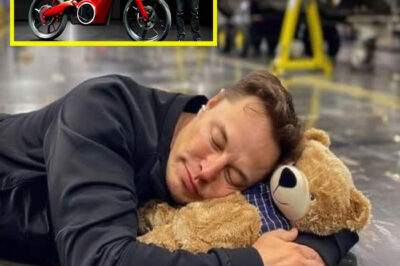 Elon Musk’s innovative ventures have reshaped industries and captured the world’s attention, from space exploration to electric vehicles.