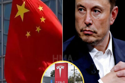 BREAKING: China makes bold decision to shut down Tesla and the US auto industry – Elon Musk responds with a shocking message of only ‘9 words’, revealing a hidden truth that sh0cks the world.