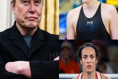 Elon Musk calls for boycott of tournament allowing biological males to compete in women’s event: “They are deliberately cheating”. ‘Biological’ males respond….