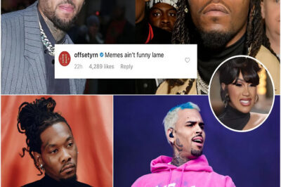 The music world was set ablaze this week as a social media feud erupted between Chris Brown and Offset, involving none other than Offset’s wife, Cardi B.