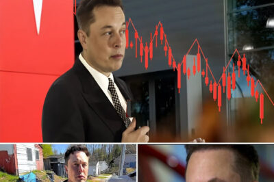 Tesla Collapses, Twitter in Chaos, and Now $144 Billion Disappeared: Can Elon Musk Stand Up After This Financial Nightmare?