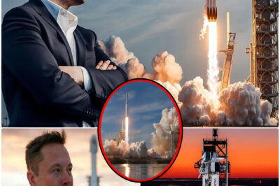 🚨 GLOBAL HORROR: Elon Musk makes a shocking move – SpaceX’s super spaceship with the robot Optimus Tesla invades Mars in 2026 and reveals a crazy plan to make humanity king of the Red Planet in 2031!