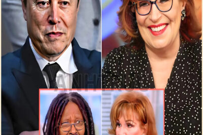 BREAKING: Joy Behar Stuns Viewers By Calling Elon Musk A ‘Clown’ On The View – Musk’s Reaction Leaves Studio In Shock, Behar Apologizes After Three Hours