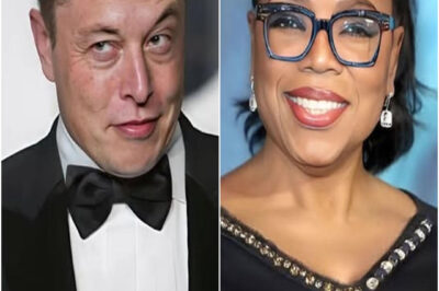 CONFIRMED Oprah Winfrey decides to end her legendary show and plans to move to Italy