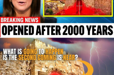 This Gate Sealed Until Jesus’s Return Has Strangely Opened Up!