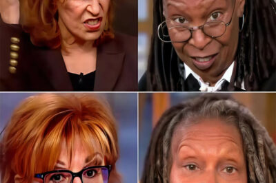 BREAKING NEWS : A/B/C refuses to renew contracts with Whoopi Goldberg and Joy Behar on The View, citing a desire to move away from “toxic” elements.