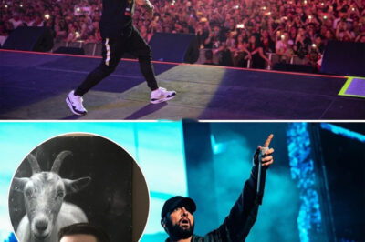 Eminem just scored a new No. 1 hit, and this time, he teamed up with an unexpected collaborator that has everyone talking! Fans are buzzing as Slim Shady once again proves he can dominate the charts, no matter who stands by his side.