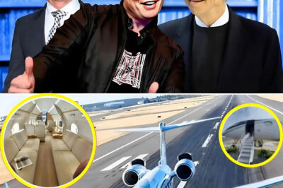 Looking’ at the $65 million plane of the world’s top billionaires Elon Musk and Bill Gates and Jeff Bezos: Near supersonic speed, private luxury cabin, Gulfstream G650ER is one of the fastest and longest-range commercial aircraft in the world