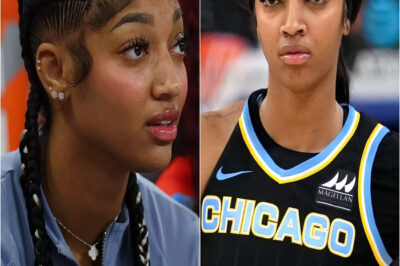 Angel Reese faces a hefty fine after calling for WNBA players to not participate in the 2025 season. Angel Reese’s career is at risk of ending permanently.