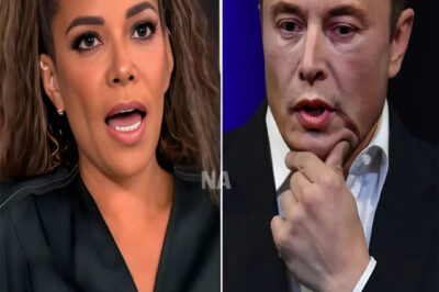 BREAKING: Sunny Hostin shocks audience by calling Elon Musk a “bastard” on The View. Musk’s reaction leaves the entire studio stunned, prompting Joy Behar to issue an immediate apology