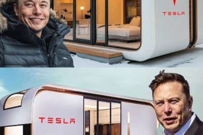 Tesla 2025 Tiny House for UNDER $6,999: Elon Musk Announces The Game-Changing for the Masses!