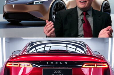 Tesla Model Q Coming Soon In June 2025! NEW Compact SUV Finally Spotted In Giga Texas!