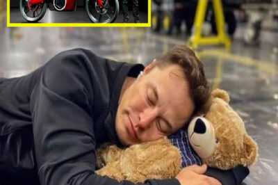 Elon Musk’s innovative ventures have reshaped industries and captured the world’s attention, from space exploration to electric vehicles.