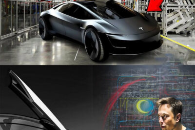 It’s NOT a robotaxi! Elon Musk has revealed a stealth model that breaks everything and will hit the market in 2025