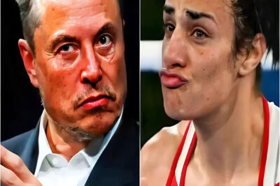 BREAKING: Elon Musk decides to withdraw support for WBO programs unless Imane Khelif’s medal and $25 million bonus are revoked.