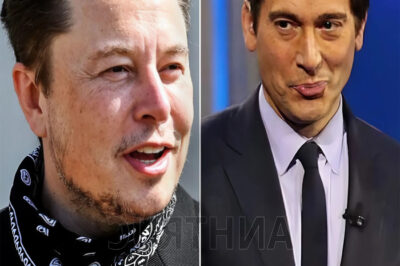 » BREAKING: Elon Musk eyes A.B.C acquisition and plans to fire David Muir immediately in bold move..