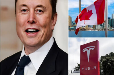 5 MINUTES AGO: Canada makes a bold decision to shut down Tesla and the U.S. auto industry – Elon Musk responds with a shocking 9-word message, revealing a hidden truth that leaves the world stunned.