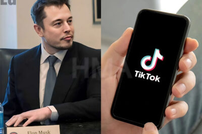 Elon Musk confirms TikTok takeover, rebranding as “X-Videos” in record-breaking deal worth double X…