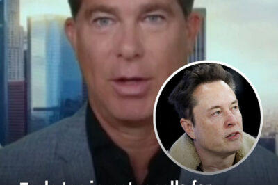 Tesla top investor calls for Elon Musk to step down as CEO following $800,000,000,000 plunge since December