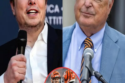 BREAKING NEWS: Elon Musk is reportedly in talks to buy Cincinnati Bengals for $15 billion – NFL World stunned as Mike Brown debates potential takeover.