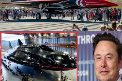 Elon Musk’s $13 Billion Tesla Jet: The Stunning Feature That Challenges Everything We Know About Flight!