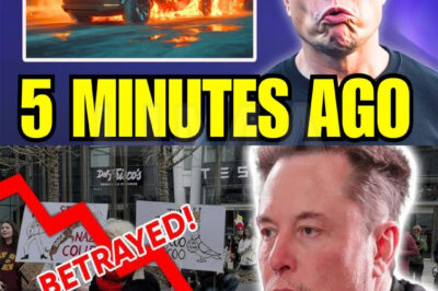 SHOCK!!! Tesla just LOST EVERYTHING… Stock and sales POUNDED as anti-Elon protests INTENSE!