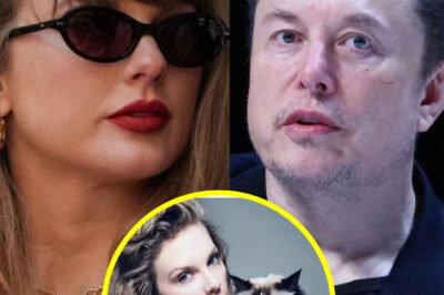 Elon Musk needles Taylor Swift after Harris endorsement: ‘I will give you a child and guard your cats’